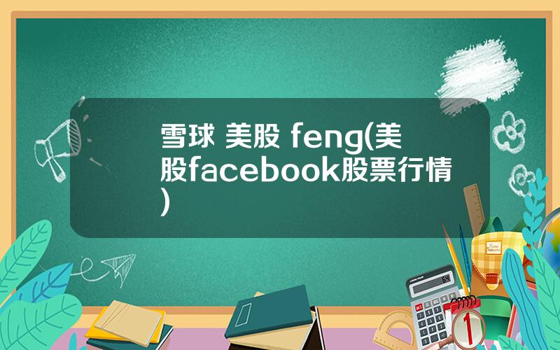 雪球 美股 feng(美股facebook股票行情)